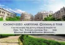 崇左师范高等专科学校排名第几，广西前十名的大专学校有哪些？