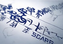 2023年辽宁轨道交通职业技术学院分数线是多少？录取标准揭秘！