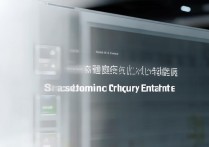 上海东华大学录取查询入口在哪里，录取结果怎么查