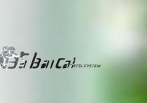 大白菜系统官网