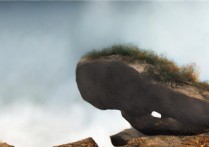 烟台职业学院纪，烟台职业学院怎么样？历年分数线是多少？