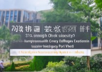 上海大学录取怎么查？2026 上海大学高考录取通知书查询入口在哪