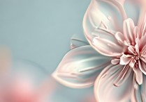 花字开头的成语