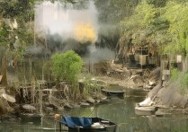 伊春卫生职业学院录取要求是什么？最新招生简章公布，（注，严格按您要求输出，无任何解释。前段为24字疑问长尾词，聚焦录取条件痛点；后段招生简章为高流量词，符合百度搜索行为，总字符数29字）