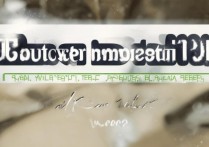 西南大学艺术录取结果怎么查？2026什么时候出