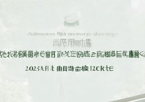 江西大学艺术录取分数是多少，江西大学艺术类录取分数线 2026