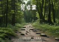 踪的成语