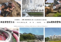 潍坊职业学院桑蚕专业怎么样，毕业后的就业前景好吗？