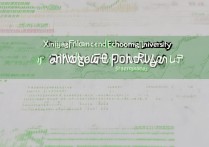 新疆财经大学录取山东分数线多少，山东考生要多少分能上