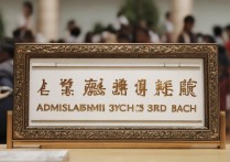 中央美术大学录取批次是第几批？中央美术学院录取批次查询