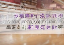 河南舞蹈单招专科学校排名有哪些，单招舞蹈专业大学哪所好？