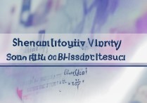 沈阳大学二本录取查询了吗，2026录取结果什么时候出