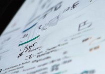 沈阳大学查录取怎么查？沈阳大学录取结果查询入口