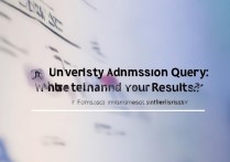 大学录取查询成绩入口在哪？高考录取结果查询入口