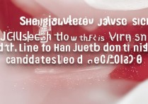 上海大学吉林录取线是多少？2026年吉林考生多少分能考上？
