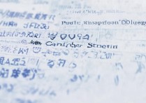 山东公办专科学校排名怎么样？山东公立专科院校有哪些？