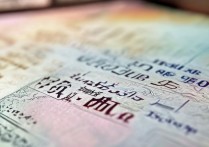 文山市一中2023年高中录取分数线公布，今年分数线有何变化？