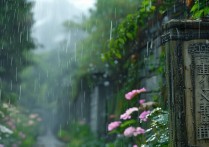 什么细雨四字成语