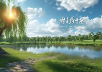 含有近义词的成语