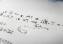 宁波大学高考录取结果怎么查，录取分数线是多少