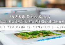 大白菜系统重装教程