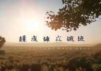 影开头的四字成语