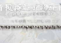 南财大学录取线是多少？历年最低录取分数线是多少