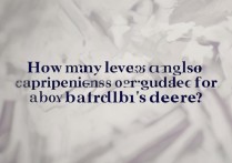 本科英语四级真的够用吗？本科英语到底要考到几级才算达标？