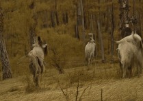 皮肤医生专科学校排名榜？皮肤病专科学校排名前十有哪些？