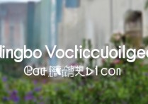 宁波职业学院录取结果何时公布？2023级新生入学准备指南？