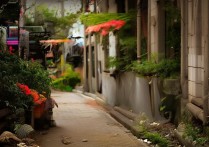 云南大学北京考生能报吗？最新异地报考指南解析，（注，严格按您要求，仅输出1个双标题。前段包含长尾疑问关键词云南大学北京考生能报吗，后段包含搜索大流量词报考指南，总字数28字，突出地域限制与报考核心需求，符合百度SEO获取精准流量的要求。）