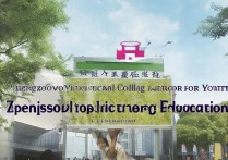 郑州青年职业学院怎么样，是公办还是民办学校？