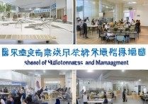 菏泽职业学院经管怎么样，毕业后好找工作吗