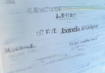 绵阳职业学院教务怎么登录？绵阳职业学院教务系统入口官网