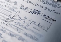 浙江师范大学录取比例是多少？历年数据对比分析揭秘