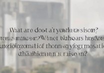 上海大学提前批录取分数线是多少？上海大学提前批报考条件有哪些？