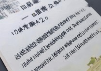 大学外文系录取难吗？2026 年大学外文系录取分数线是多少