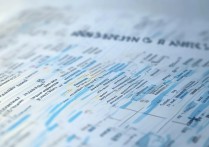 录取分数外语大学是多少？外语大学录取分数及排名