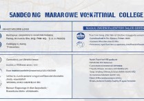 广东航海类专科院校排名揭晓，究竟哪家航海专科学校实力最强？