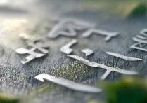 江西高考仅200分，能就读哪些大学及专业？揭秘低分上大学的秘密！