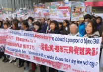 山东师范大学历山学院美术为什么扎堆报考？分数不够怎么办？