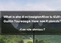 桂林旅游学院艺术录取分数线是多少，多少分能考上