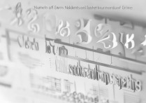 华东师范大学录取人数是多少？2026招生名额有多少人