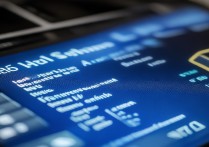 bios 启动没有硬盘选项