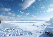 冰天雪地成语