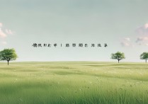 大同小异成语