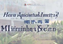 河南农业大学2017录取分数线，最低多少分能上