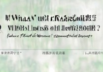 武汉大学表演系录取比多少分能考上？|分数线是多少