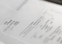 烟台职业学院简历中，哪些亮点能助求职者脱颖而出？