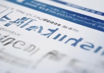 山东录取大学志愿怎么填？2026山东高考志愿填报指南